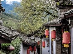 -后柳水乡
