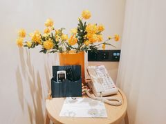 -华凌山庄·隐湖栖
