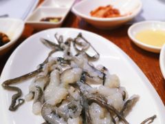 活八爪鱼-黑山岛餐厅