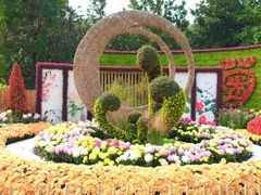 -上海共青森林公园