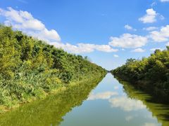 -黄海国家森林公园