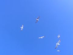 -那香海钻石沙滩浴场