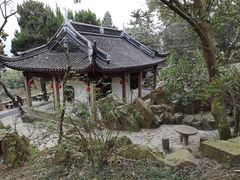 -香雪海
