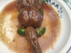 -丁老爷子苏香圆