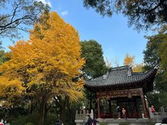 -汇龙潭