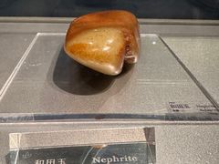 -中国地质博物馆