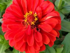 -幸福蓝海国际影城(铜陵店)