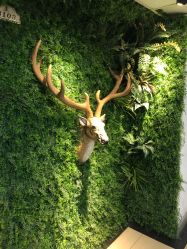 -V-STAR威斯达•高级私人定制