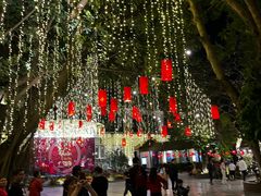 -河内西湖莲花自助餐厅
