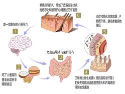-MLP美丽派·问题肌疗愈中心
