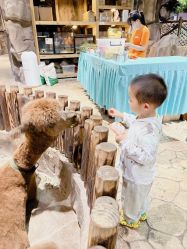 -宝燕乐园(闵行旗舰店)