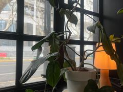 -一尺花园(安和花园店)