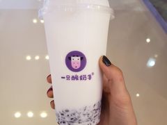 -合肥蜀山万象汇