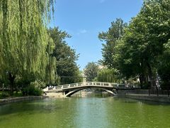 -团结湖公园