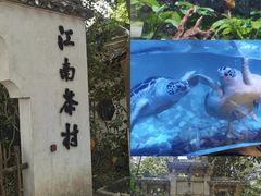 -天目湖山水园