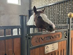 -北京群众马术培训基地