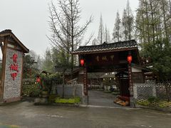 -青城甲(青城山店)