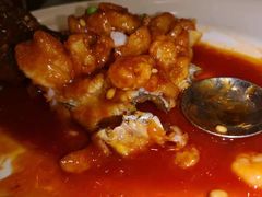 -沪碟·精菜坊(闵行店)