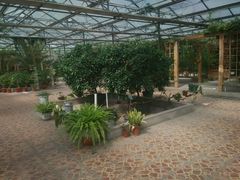 -万源龙顺度假庄园生态观光园