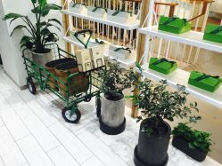 -悦诗风吟innisfree