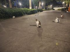 -味友·厦门味(集美店)