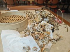 -杨氏青龙虾·羊蝎子(珠江路店)