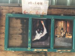 -菁桐火车站