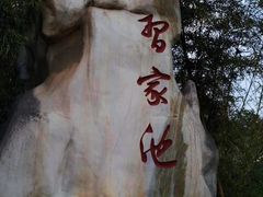 -习家池