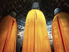 -白水寺森林公园