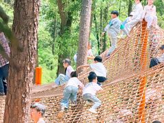-东湖落雁景区