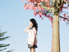 -风云岭森林公园