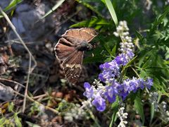 -北京西山国家森林公园