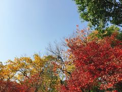 -西湖天地