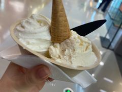 -极拉图·现制冰淇淋(大卫城店)