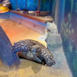 -未来动物城动物主题公园(大悦城店)