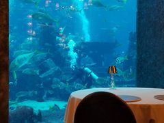 -迪拜帆船酒店海底餐厅