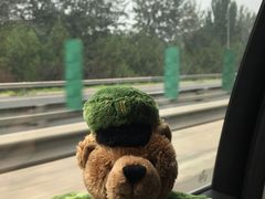 -妈妈的味道(工人体育场东路店)