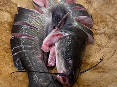 -云中鱼蒸汽石锅鱼(川沙百联店)