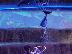 -华夏文旅海洋公园