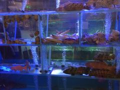 -鸿星海鲜酒家(格兰中心店)