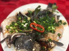 -先鲜鲫鱼粥