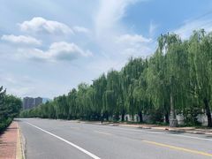 -龙口南山旅游景区