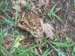 -羊亭河湿地公园