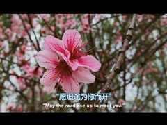 -温江公园