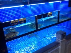 水产区-千岛湖小鱼儿·淳安匠心农家菜