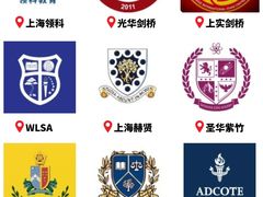 -菠萝国际教育专注Alevel·IGCSE·IB·AP·托福雅思培训辅导(静安校区)