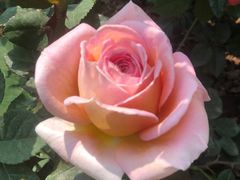 -人民公园(罗湖区)