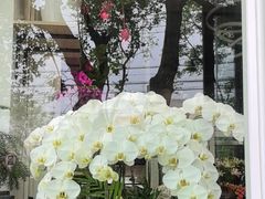 -FEI FEI FLOWER鲜花店·气球派对·宝宝宴布置(虹口德必运动Loft店)