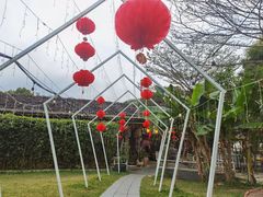 -陶缘一号·四季缘·老字号顺德菜·户外婚礼家宴(西滘店)