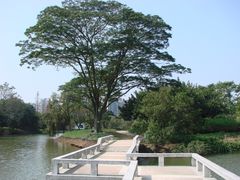 景点-南沙蒲洲花园